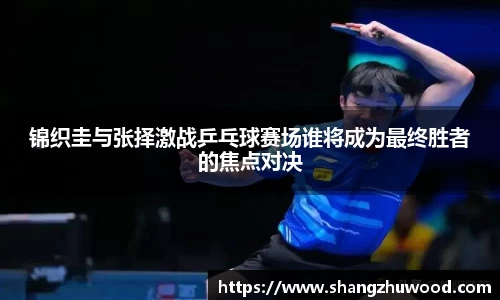 锦织圭与张择激战乒乓球赛场谁将成为最终胜者的焦点对决