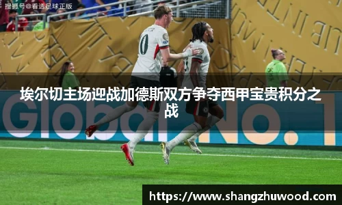 678体全网直播