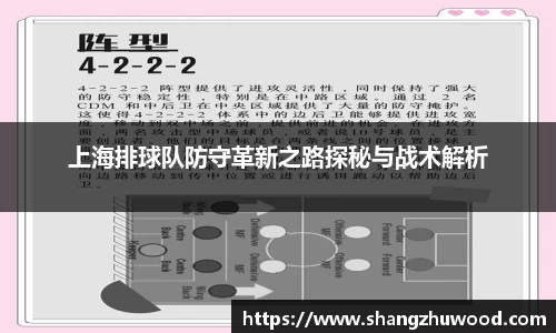 上海排球队防守革新之路探秘与战术解析