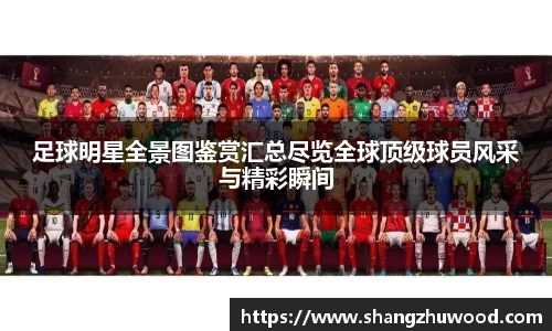 678体育官方网站